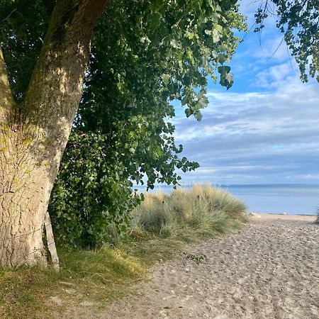 Feriendorf Suedstrand Haus 36 Pelzerhaken Zewnętrze zdjęcie